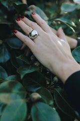 Anillo Oblique