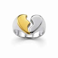 Anillo Bolt bicolor de acero 316L, vista frontal